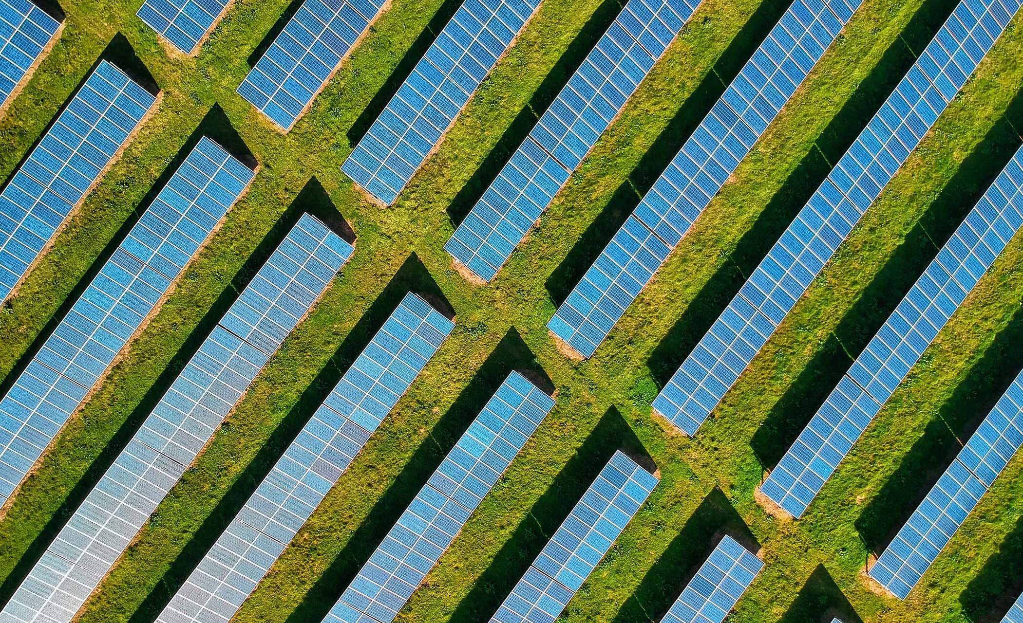 Large Solar Farm