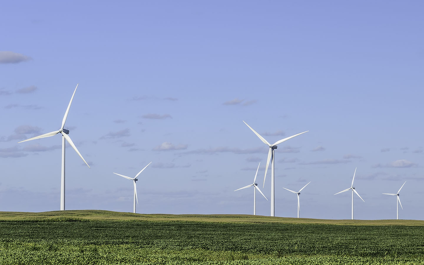 Wind Farm Green